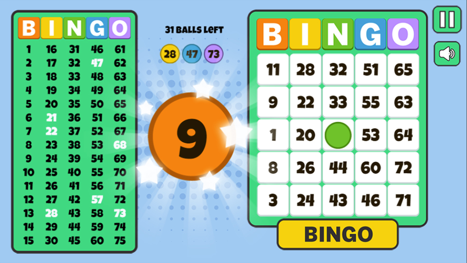 Bingo Solo