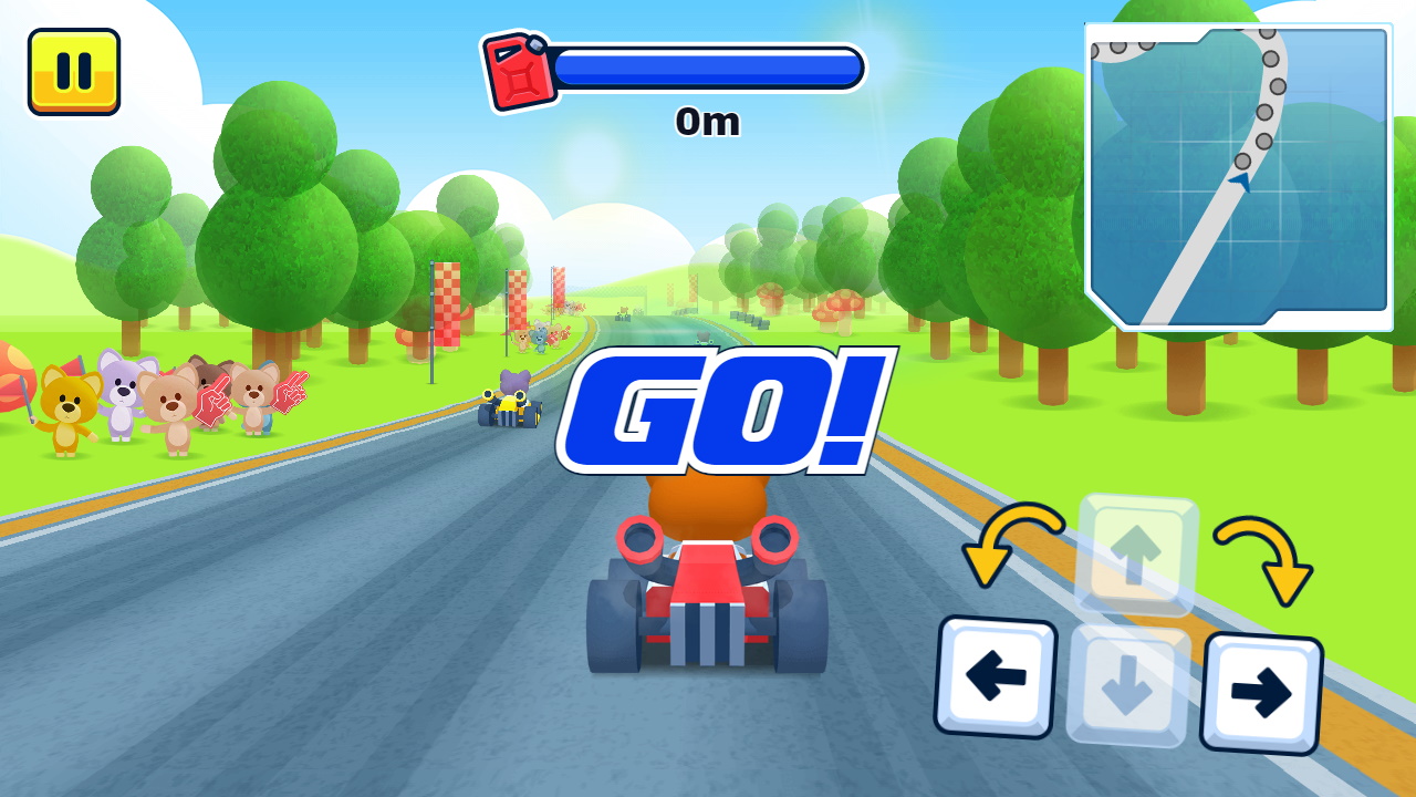 Kart Racing Pro